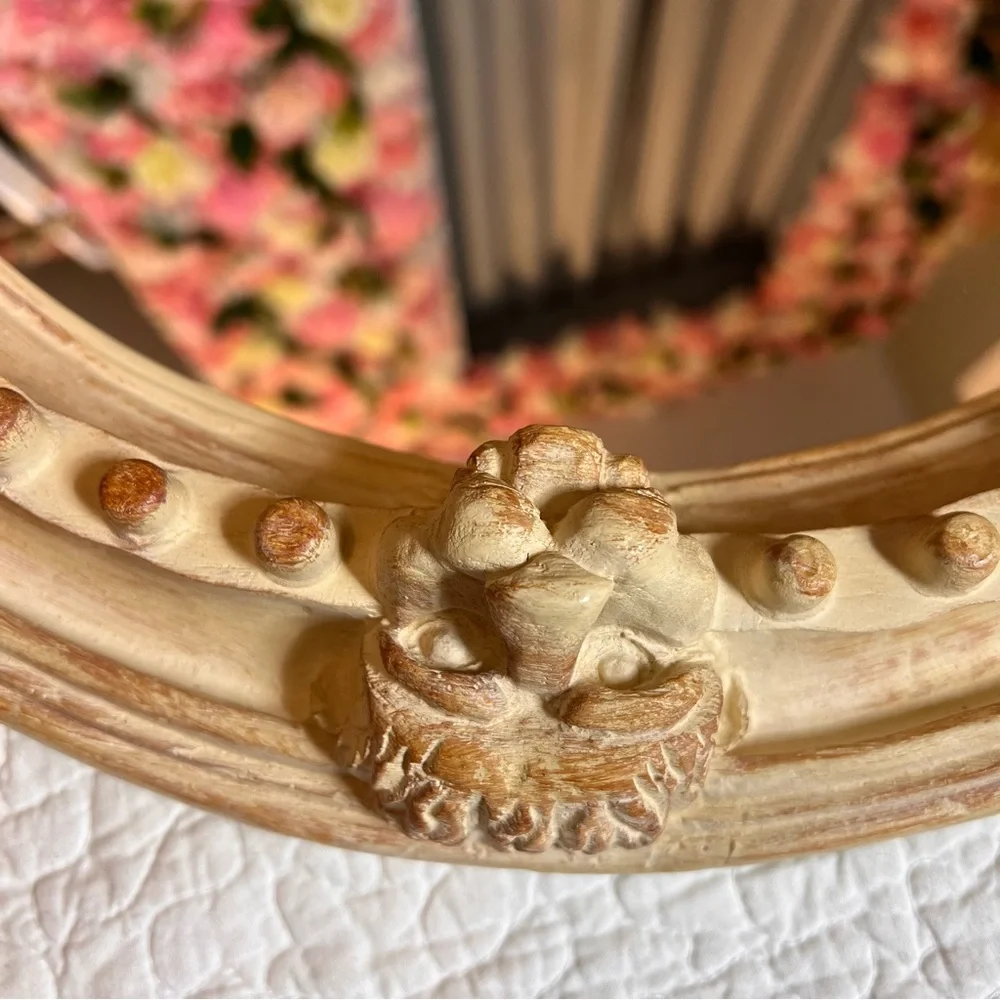 Hamilton collection round lion head “ carved “ mirror plastic decorative 19 inch
